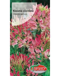 Kleoma ciernista - Cleome spinosa r&oacute;żowa 1g