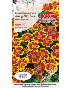 Aksamitka pojedyncza niska typ Disco - Tagetes patula nana f Flame - miodowo-karminowa 1g