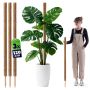 Tyczka do roślin kokosowa Cande 120 cm podpora doniczkowa 3 szt.