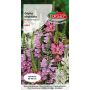Odętka wirginijska - Physostegia virginiana mieszanka 0,1g