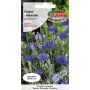 Chaber bławatek - Centaurea cyanus niebieski 2g