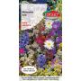 Mieszanka bylin  1g