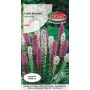 Liatra kłosowa - Liatris spicata mieszanka 0,2g