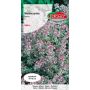 Macierzanka piaskowa - Thymus serphyllum purpurowa 0,3g