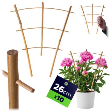 Drabinka bambusowa do roślin Taio 26 cm 10 szt.