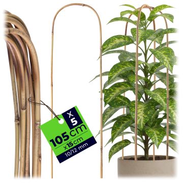 Bambusowa podpora łukowa Moayux 105 x 15 cm 5 szt.
