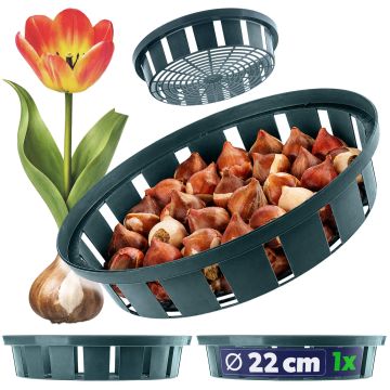 Koszyk do cebulek Julis 22 cm, zielony