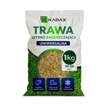 Trawa uniwersalna Riset szybko zagęszczająca 1 kg 50 m2