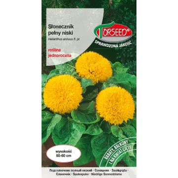 Słonecznik kwiatowy - Helianthus annuus pełny niski - żółty 2g
