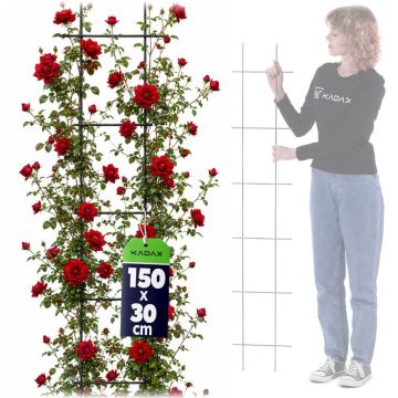 Drabinka na kwiaty Russi metalowa 150 cm, czarna