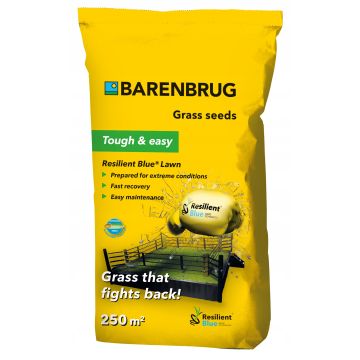 Trawa odporna na suszę Barenbrug Resilent Blue Lawn 5kg