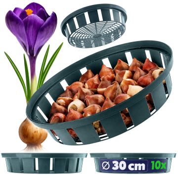 Koszyk do cebulek Julis 30 cm, 10 szt.