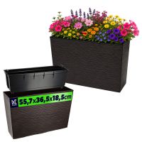 Mokka