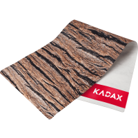 Akacja