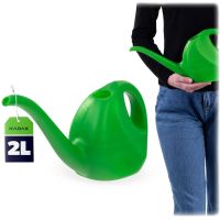 Zielony
