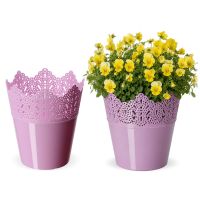 Różowy