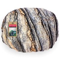 Actopan