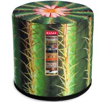 Kaktus