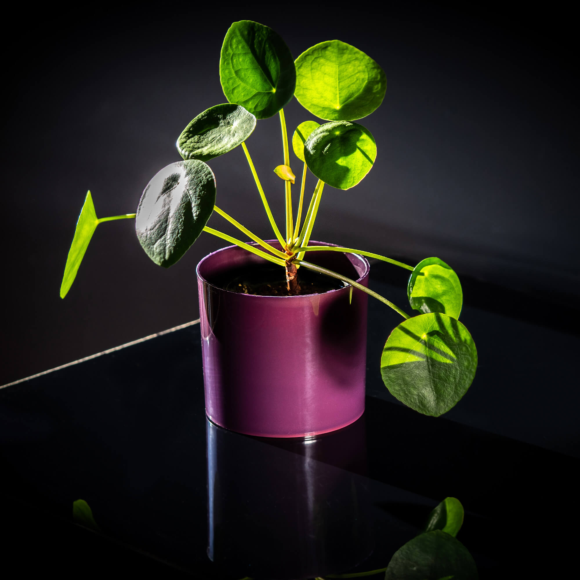 Doniczka na kwiaty okrągła Figari 13 cm, fioletowa