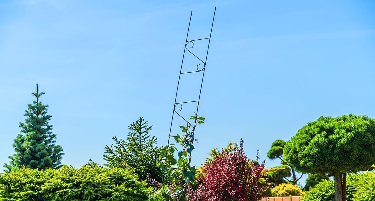 Drabinka ogrodowa Brata na kwiaty 26 x 151 cm, czarna