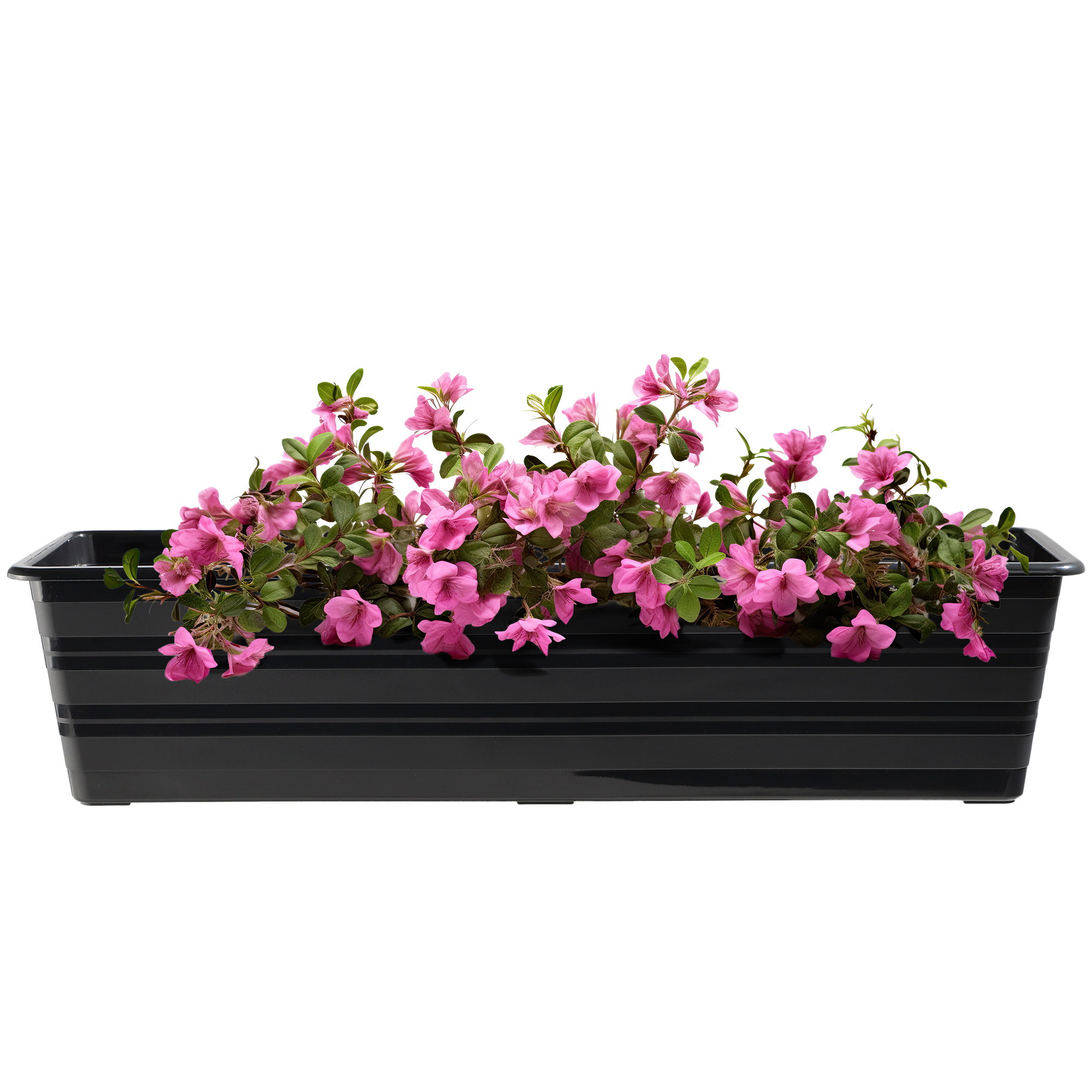 Doniczka balkonowa Cati 60 cm + podstawka 60 cm, antracyt