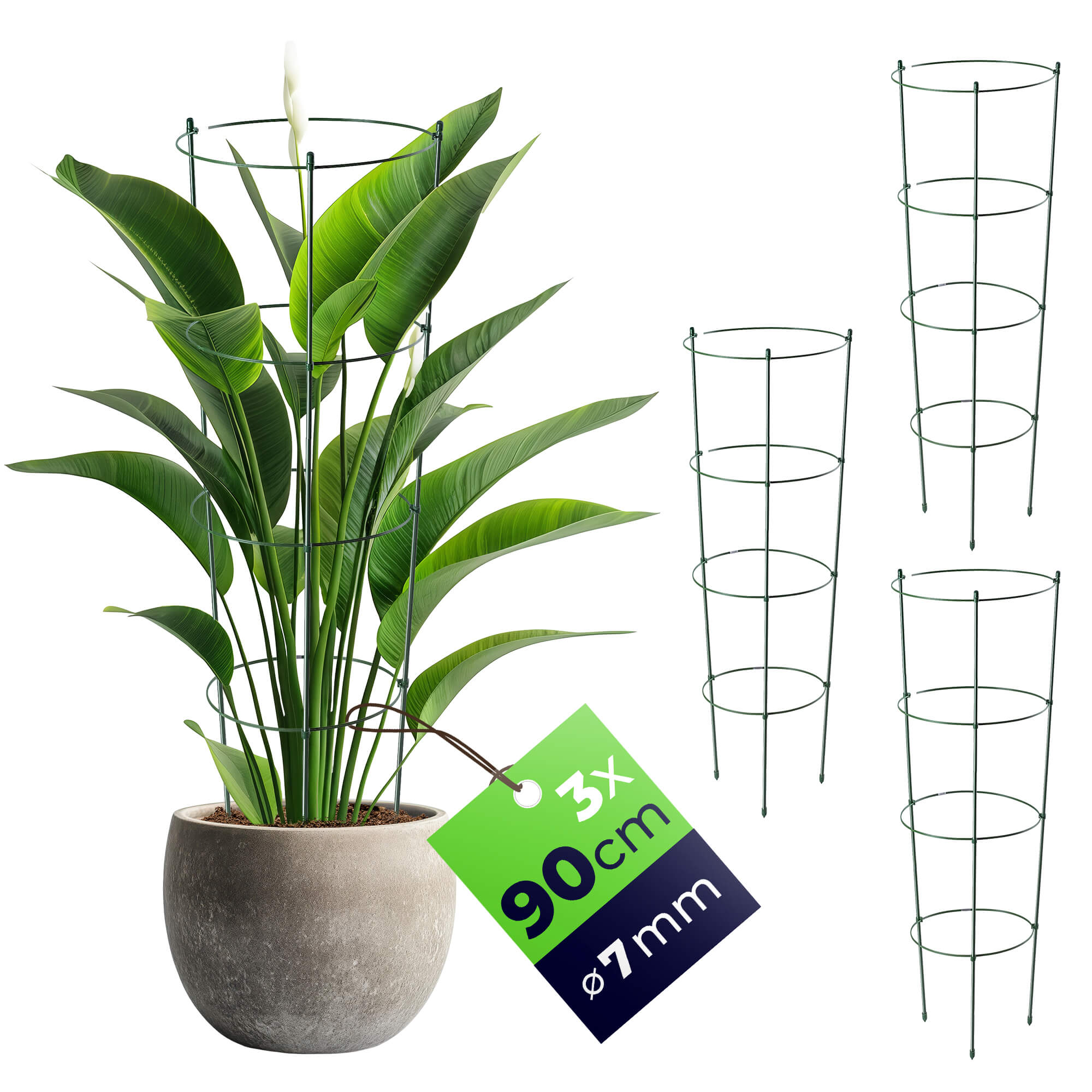 Podpora pierścieniowa do roślin Bodiel 90 cm 3 szt.