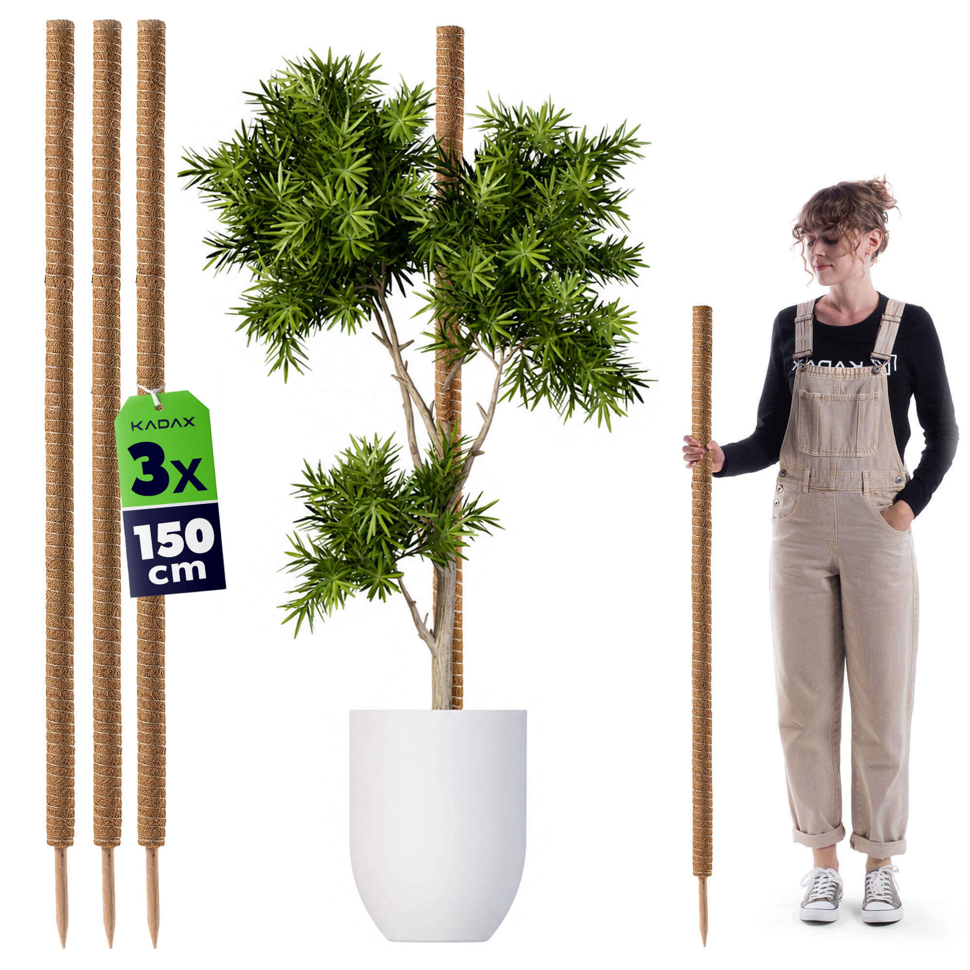 Tyczka do roślin kokosowa Cande 150 cm podpora doniczkowa 3 szt.