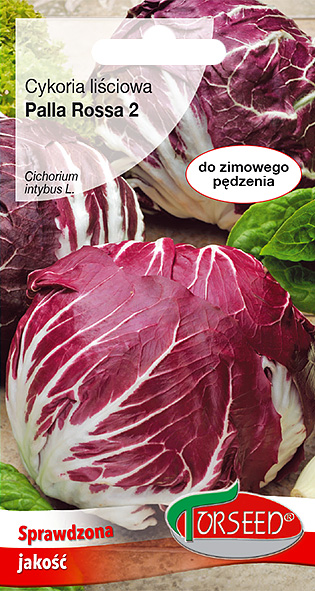 Cykoria sałatowa Radicchio Palla Rossa 2 2g