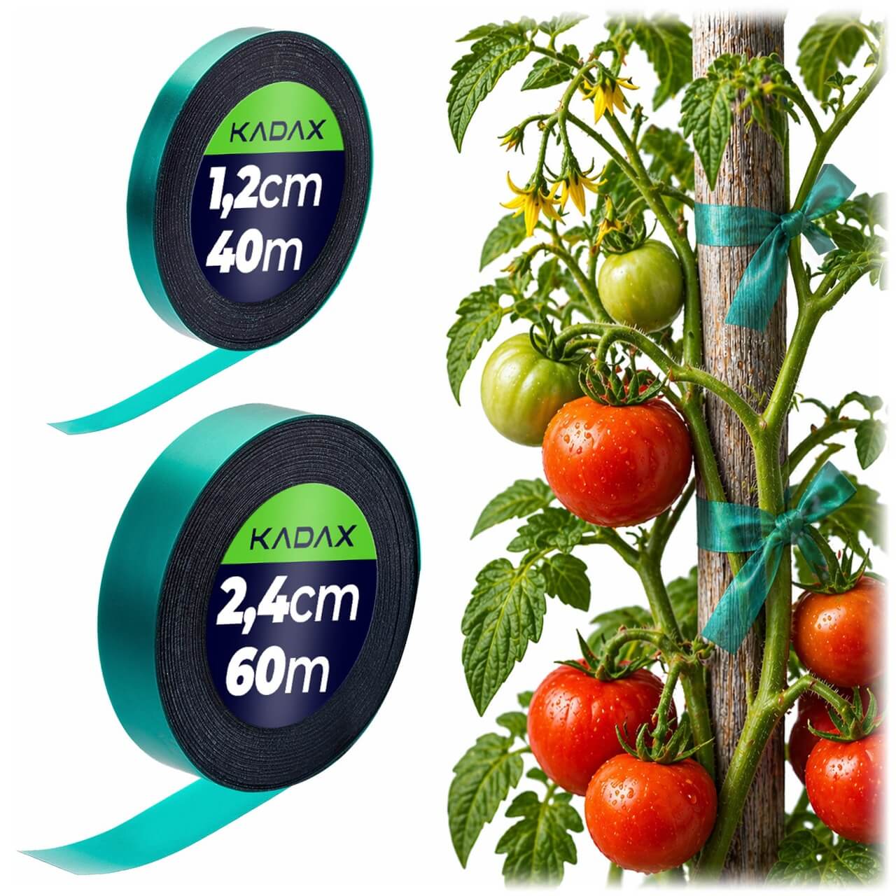 Taśma do podwiązywania roślin Vernoil 60 m x 24 mm + 40 m x 12 mm zielone 2 szt.