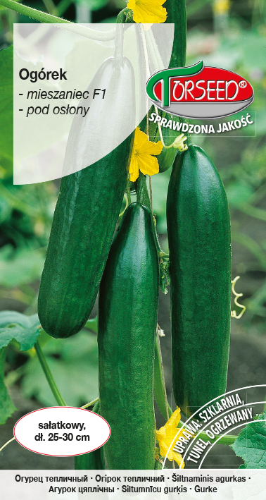 Ogórek pod osłony Atos F1 (dł. 25-29 cm) 1g