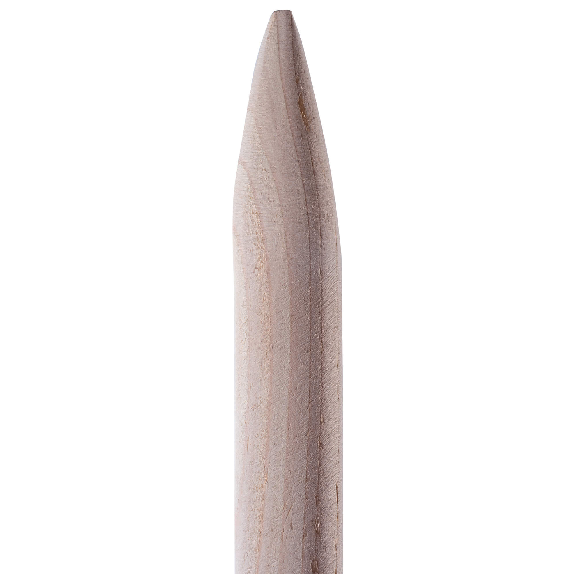 Kosisko z uchwytem z drewna topolowego 175cm