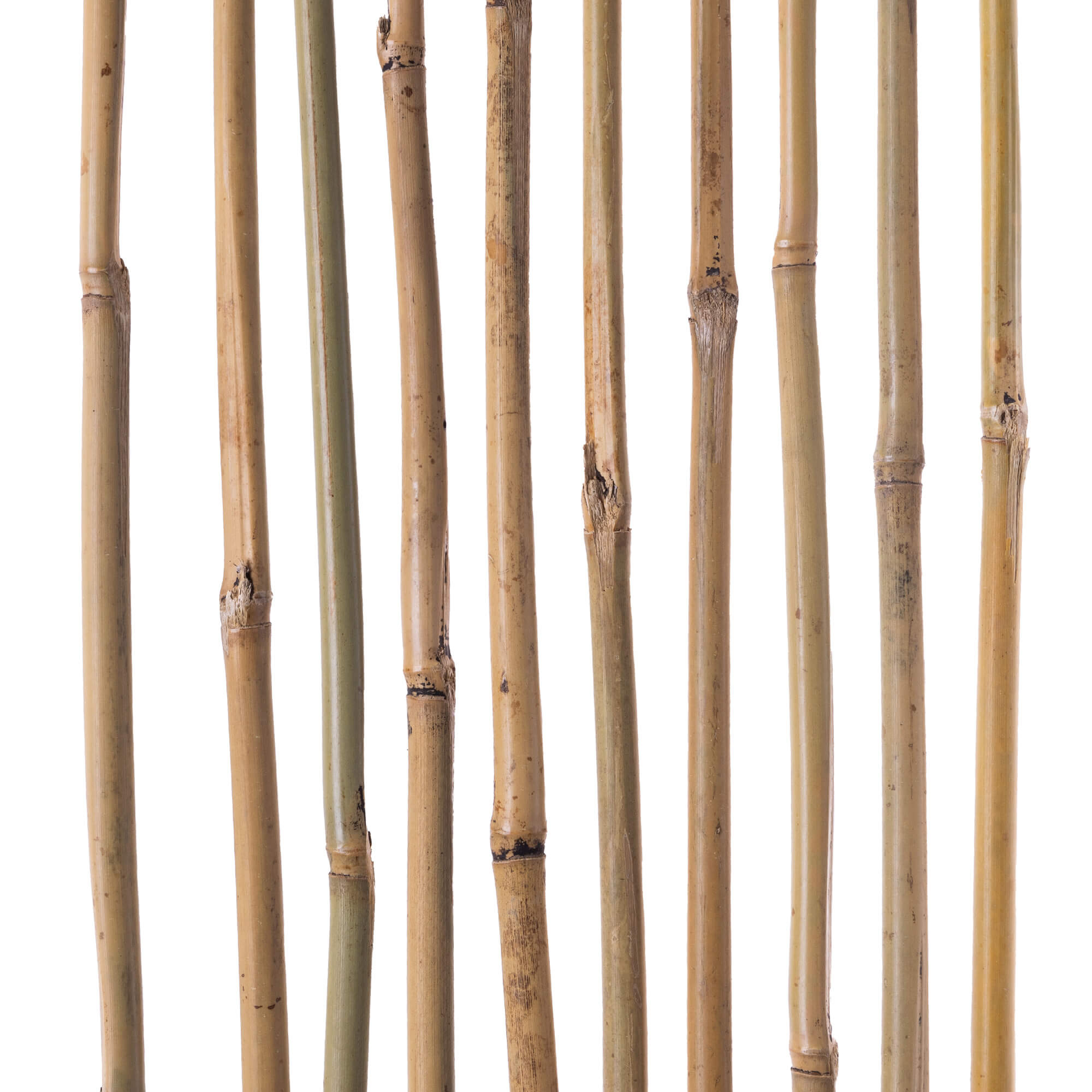 Bambusowa podpora ogrodowa Rai 105 cm x 12-14 mm 15 szt.