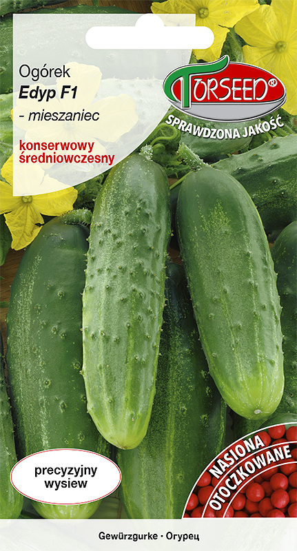 Ogórek gruntowy konserwowy Edyp F1 50g