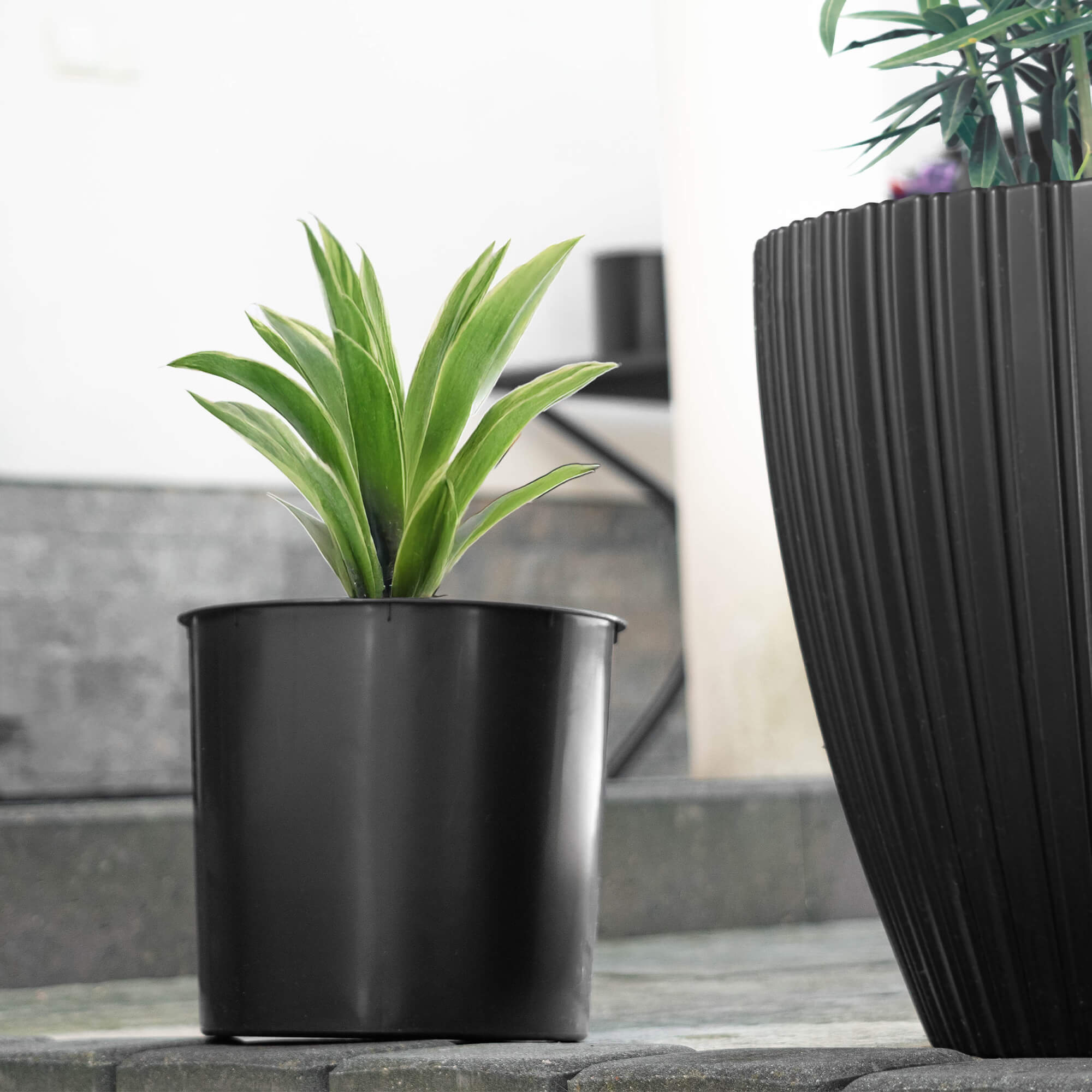 Wkład do doniczki Roisel 19.5 cm okrągły