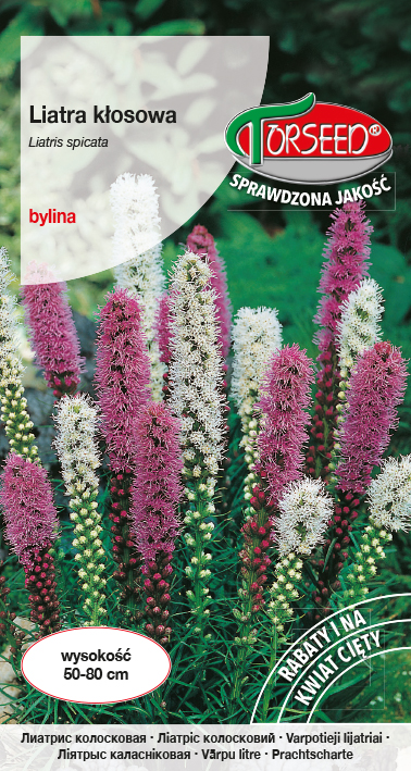 Liatra kłosowa - Liatris spicata mieszanka 0,2g