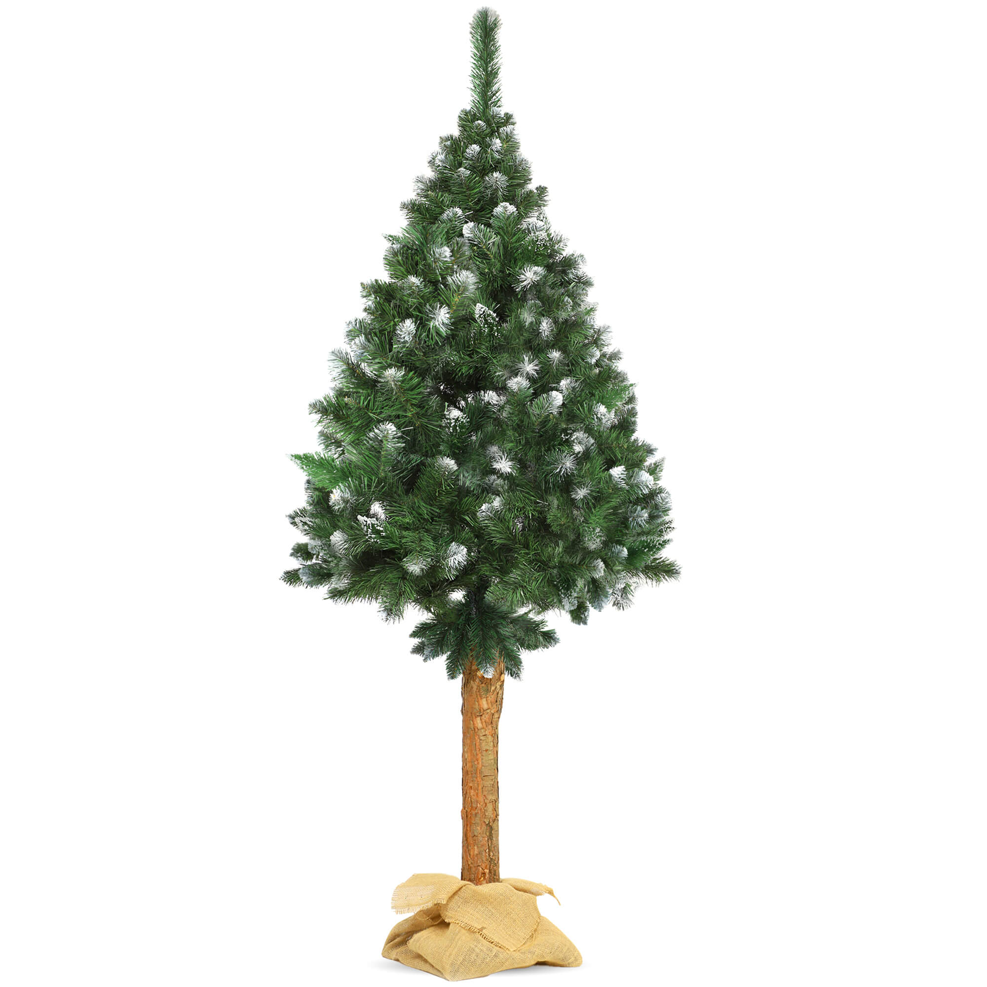 Choinka na pniu sosna diamentowa Roana 220 cm