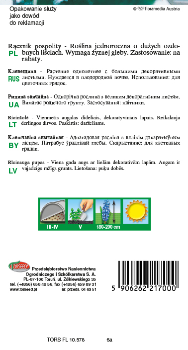 Rącznik - Ricinus communis zielonolistny 6g