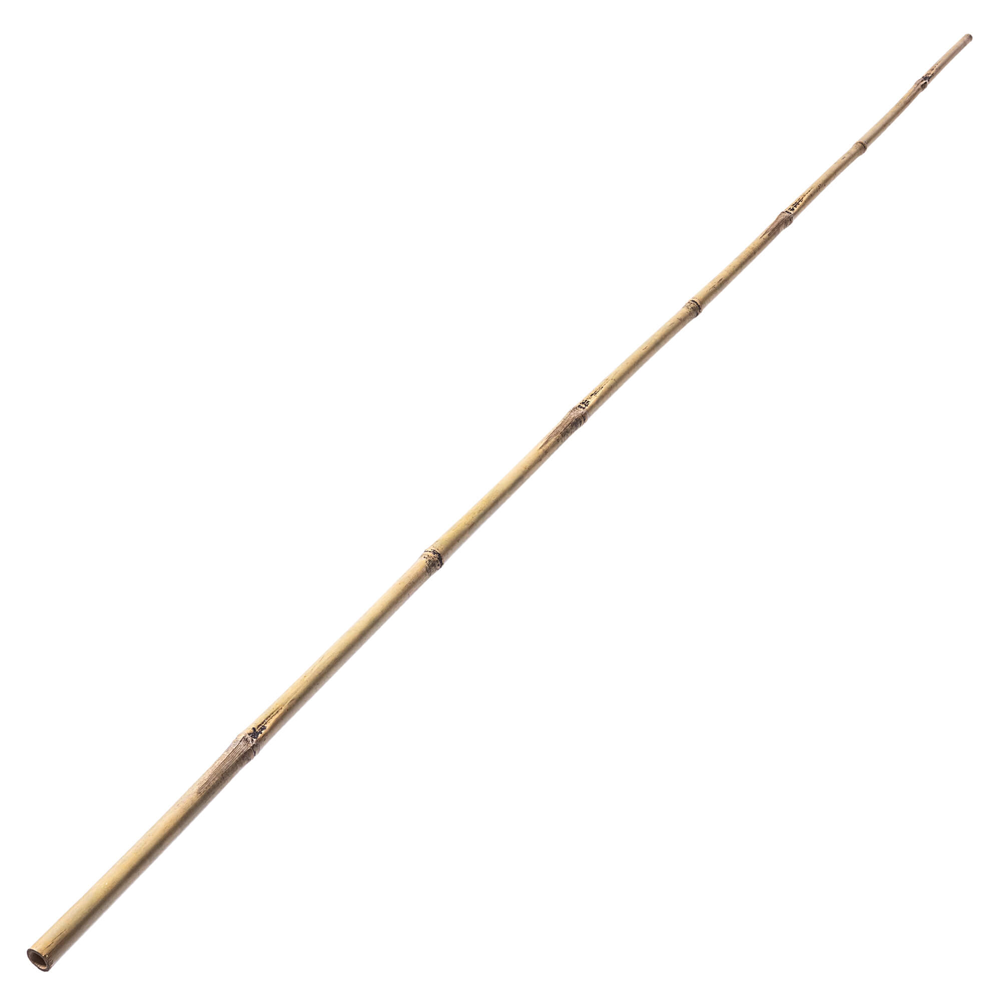 Bambusowa podpora ogrodowa Rai 180 cm x 18-20 mm 15 szt.