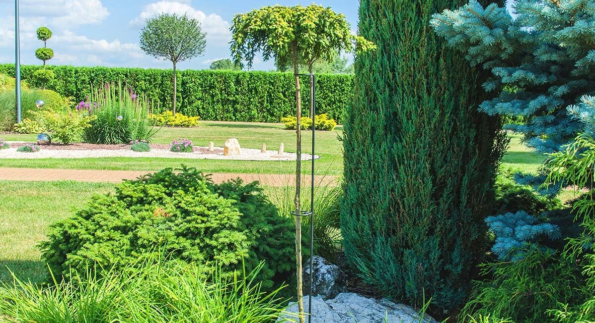 Obejma do roślin stalowa 150 x 5 cm