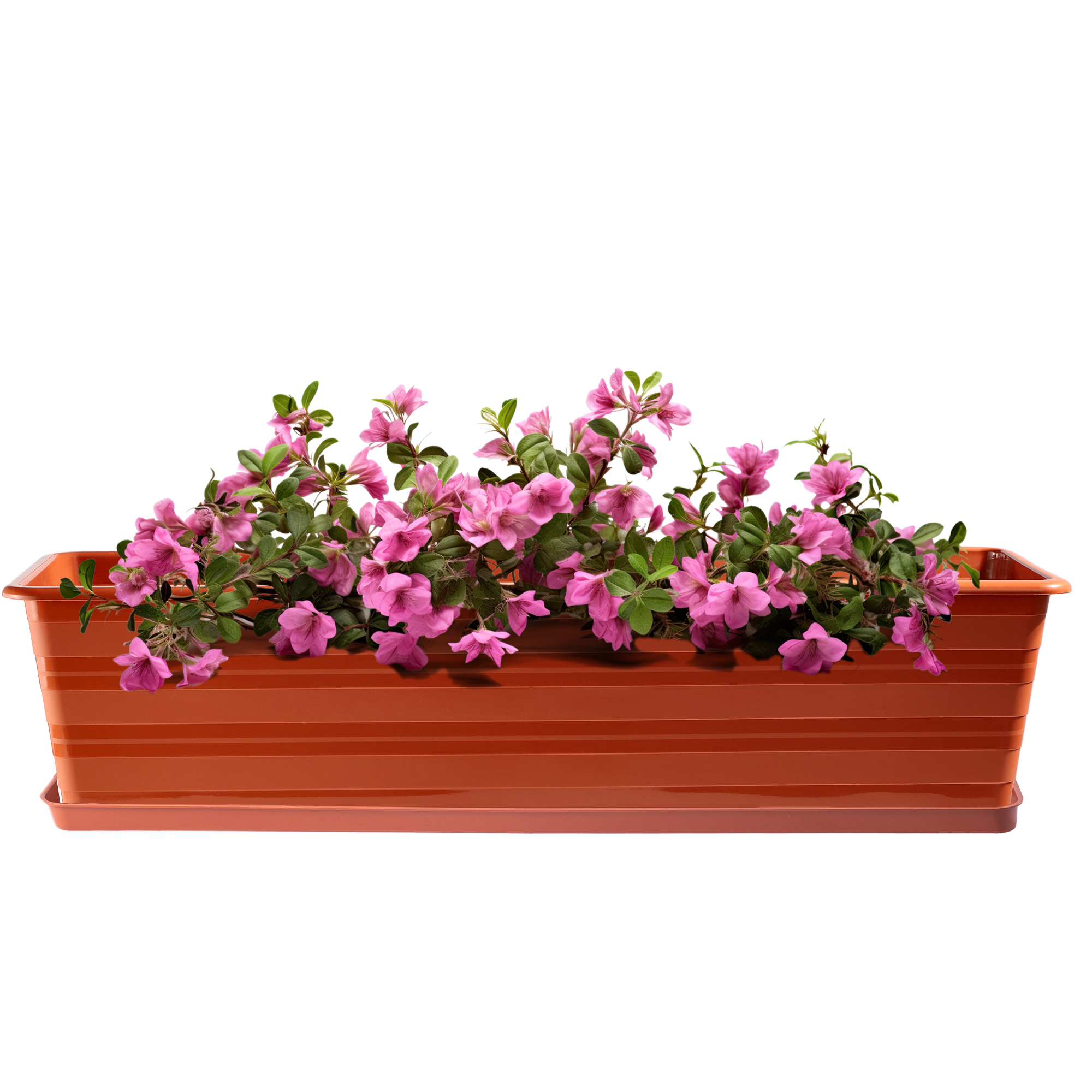 Doniczka balkonowa Cati 60 cm + podstawka 60 cm, terrakota