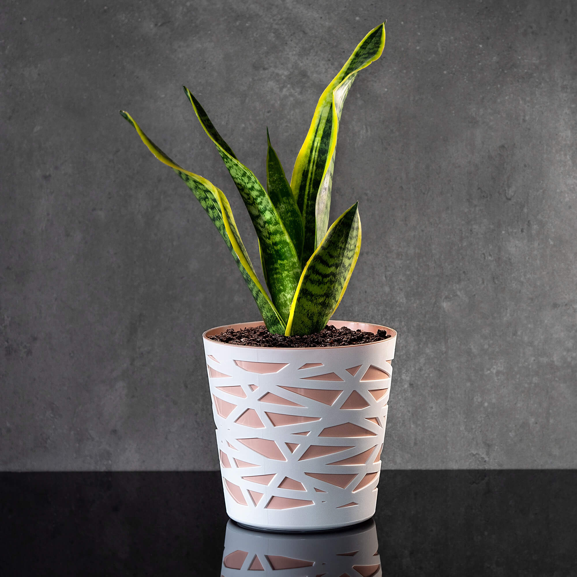 Doniczka z wkładem Rusio 17 cm, beżowy
