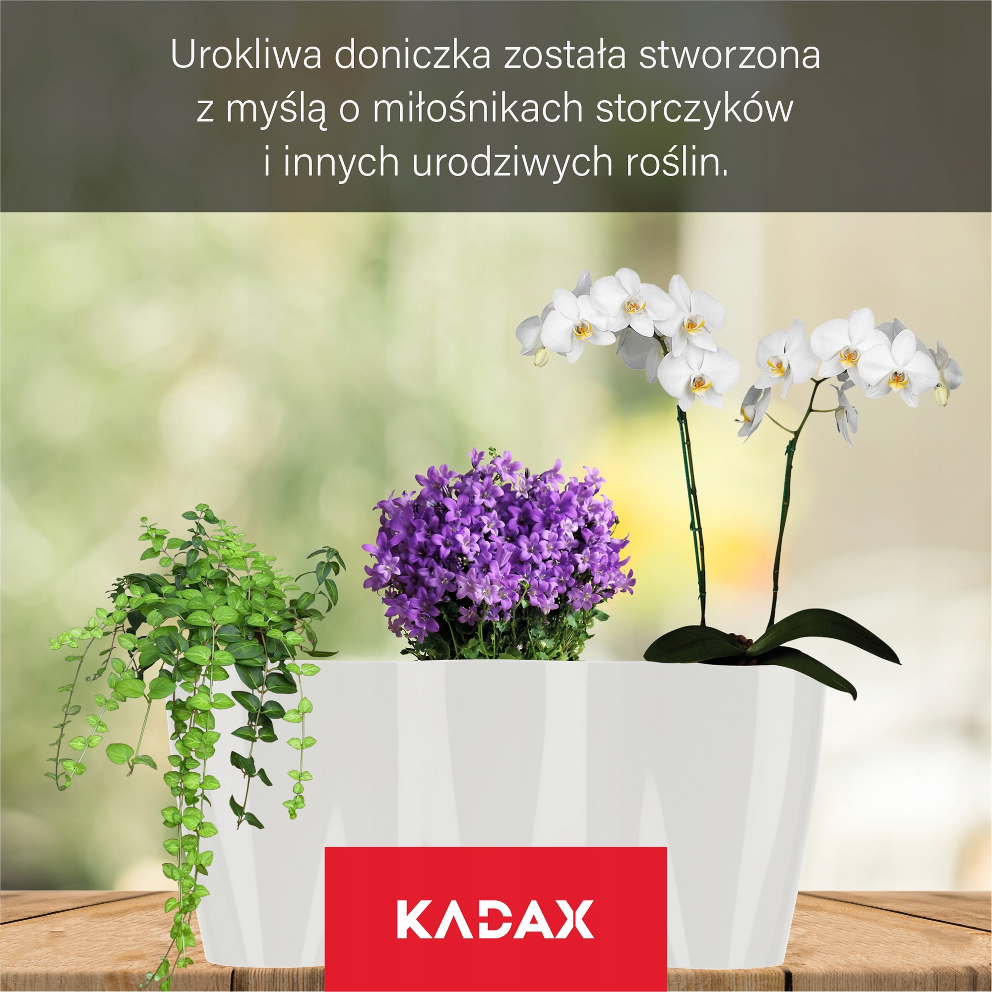 Doniczka do storczyków Fermo 35 x 15 cm, biała