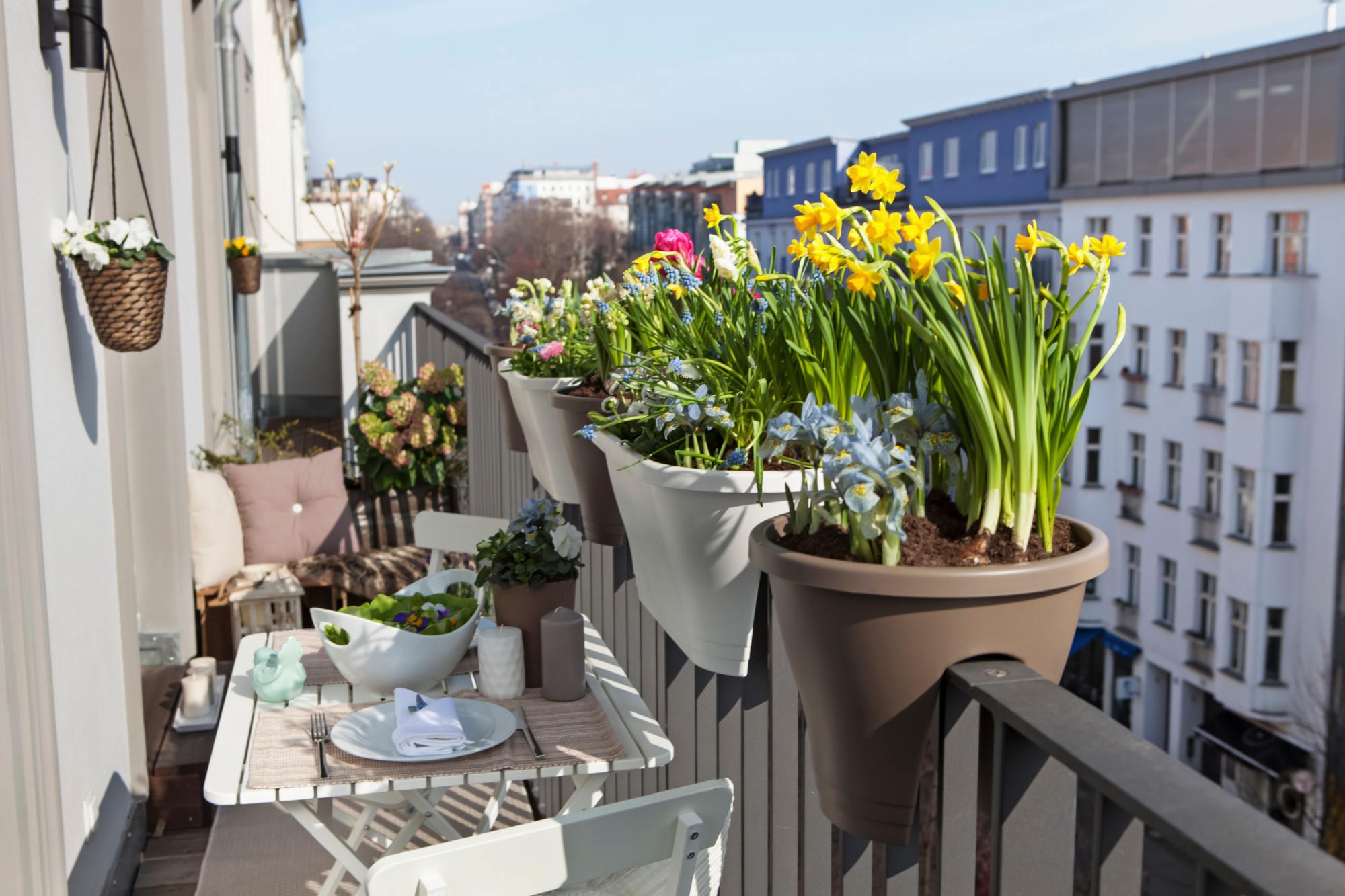 Jakie kwiaty na balkon? Poradnik wyboru roślin balkonowych